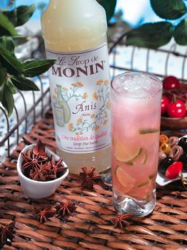 Monin ANISE - Σιρόπι 