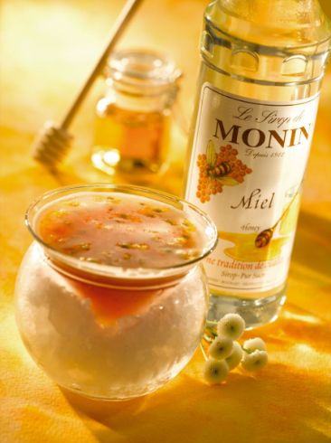 Monin HONEY - Σιρόπι Μέλι