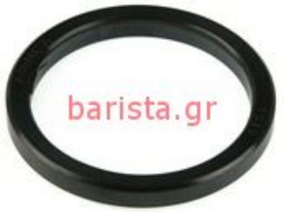 Εικόνα της San Marco  Ns-85/europa-95/sprint/golden Coffee Solenoid Group (2) 6.5mm Holder Gasket