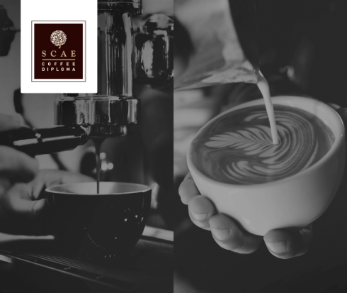 Σεμινάρια Scae Barista Foundation και Latte Art Basic στην Αθήνα 7-8/11/2016