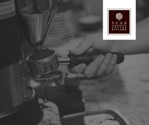 Σεμινάριο SCAE Barista Intermediate Θεσσαλονίκη 14-15/01/2017