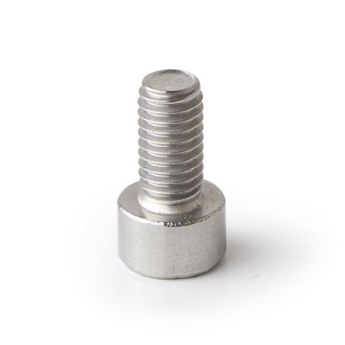 gaggia classic shower holder screw