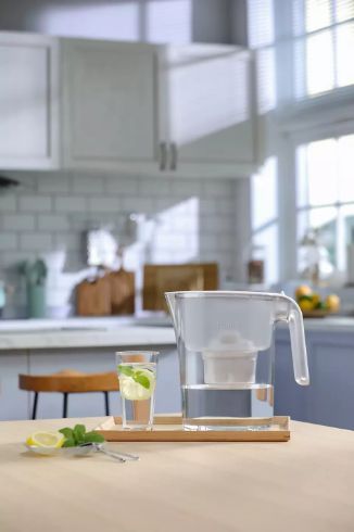 Water filter pitcher