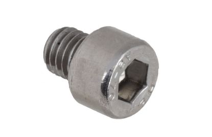 SCREW M8x8 SOCKET CAP S/S A2