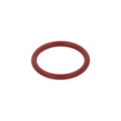 Oring 2.62 x 21.89