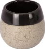 ECM Espresso Cup