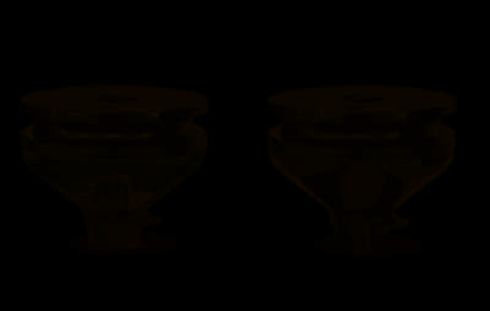 Eureka Mignon Single Dose Pro