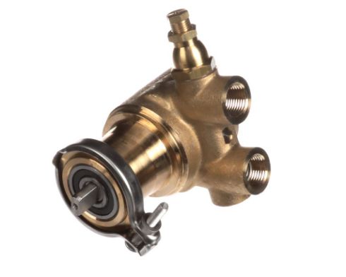 PUMP, LEAD FREE Brs, 60 GPH FLUID -O-