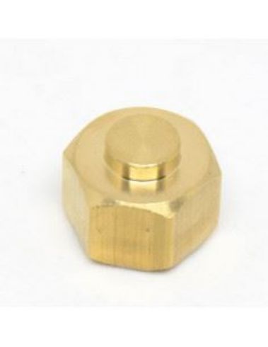 steam-valve-piston