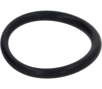 GASKET O-RING 6187 D47x5.34 VITON FDA